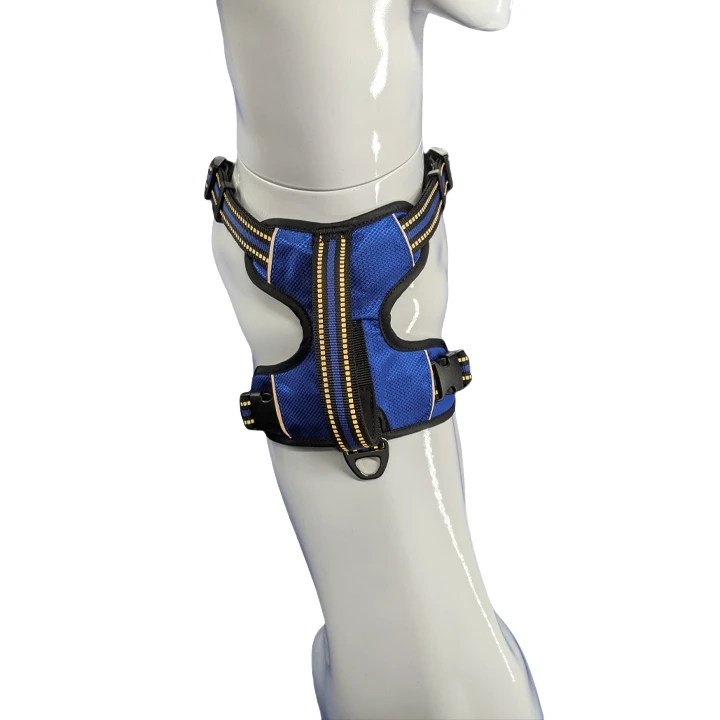Harness
